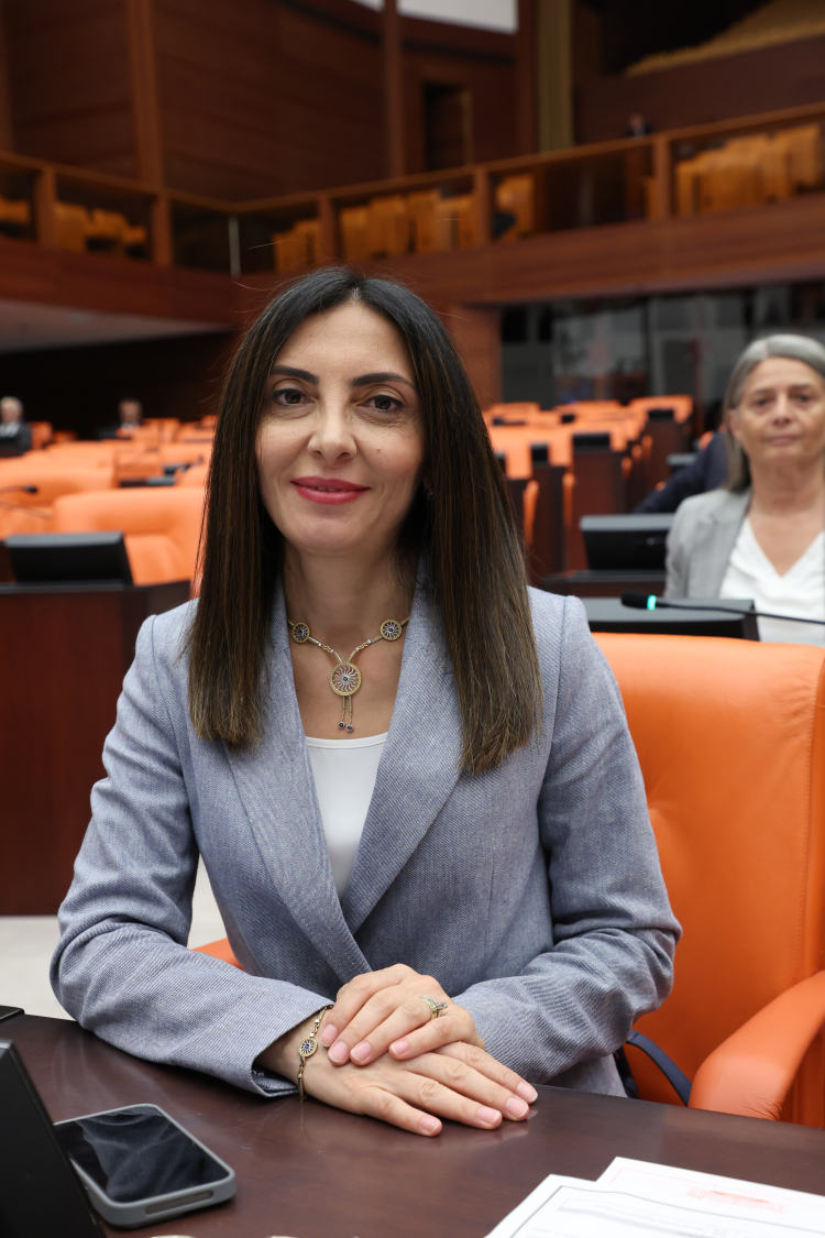 CHP'li Milletvekili Altaca Kayışoğlu duyurdu... Mudanya Aydınpınar'daki tarihi yapıya umut ışığı