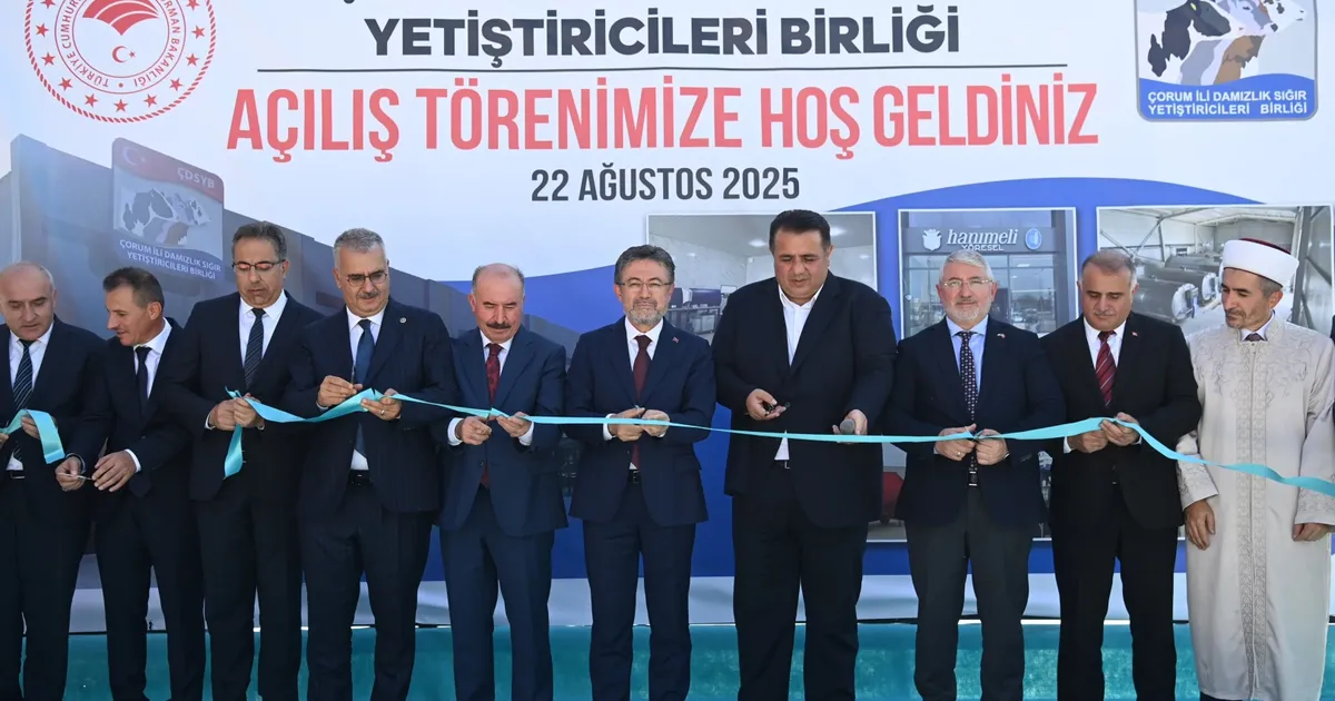 Çorum'da hayvancılığa güçlü destek