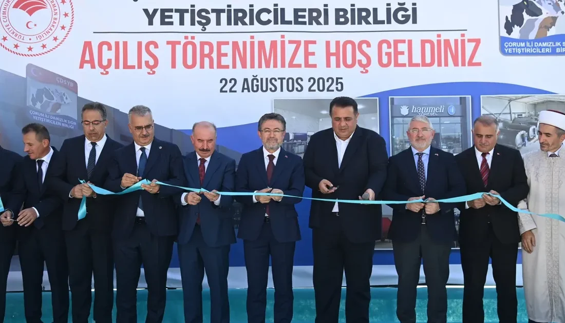 Çorum Damızlık Sığır Yetiştiricileri
