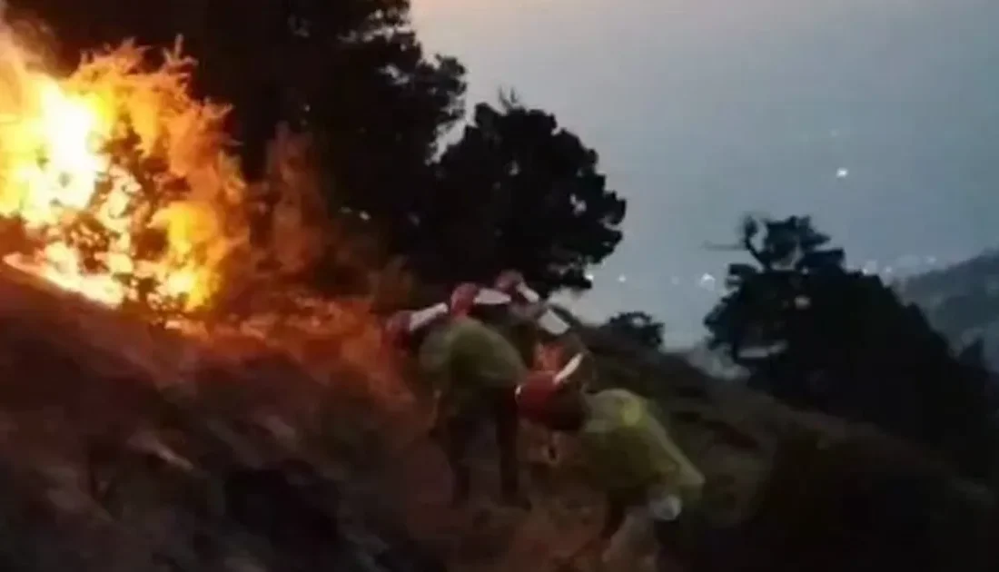 Orman Genel Müdürlüğü, Denizli’nin