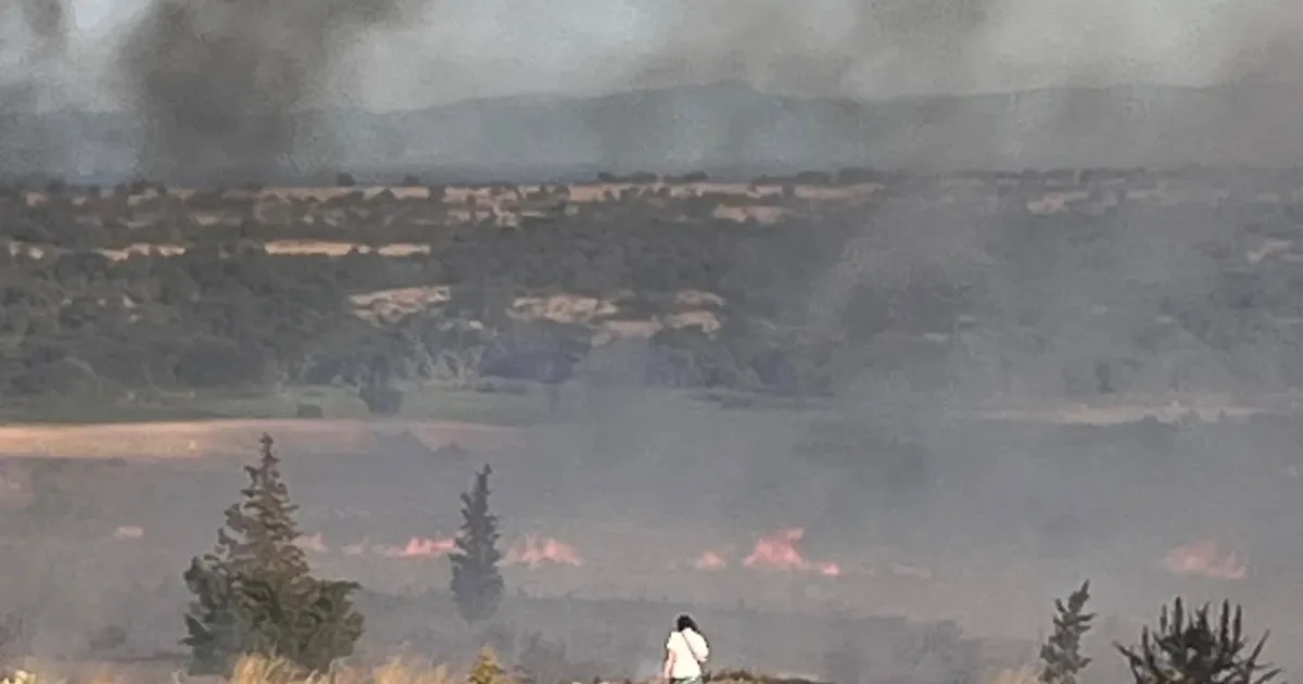 Enez'de orman yangını paniği... Gülçavuş sahili boşaltılıyor