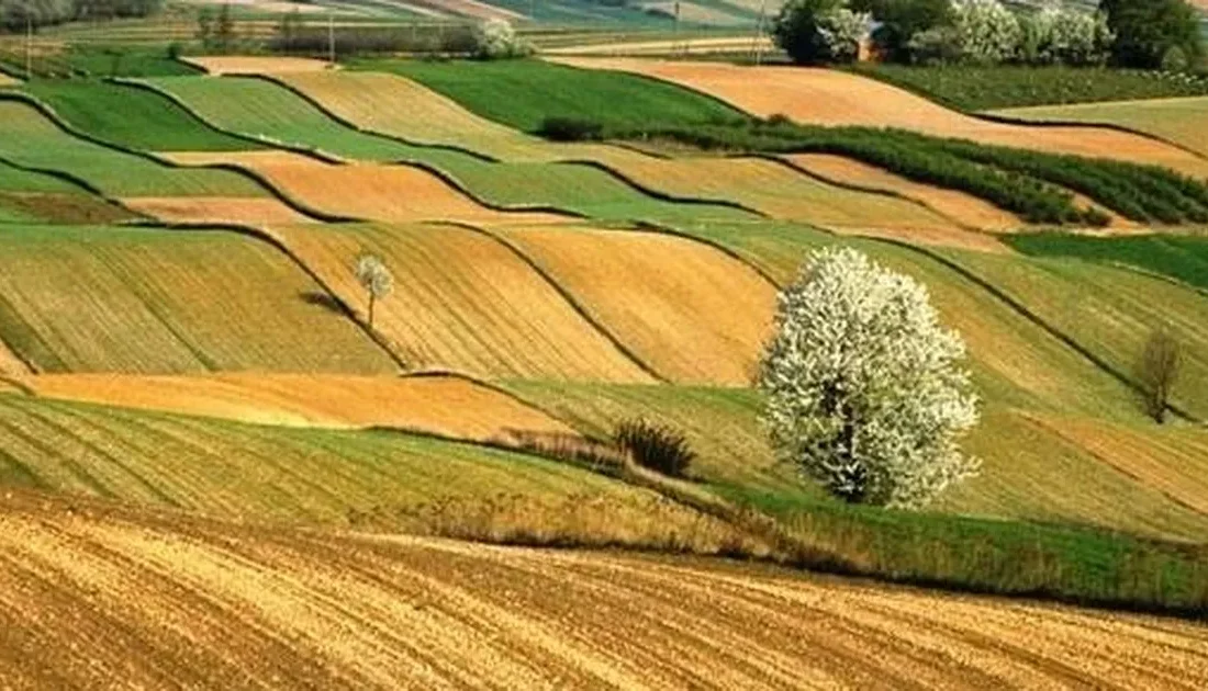 Tarım ve Orman Bakanlığı,