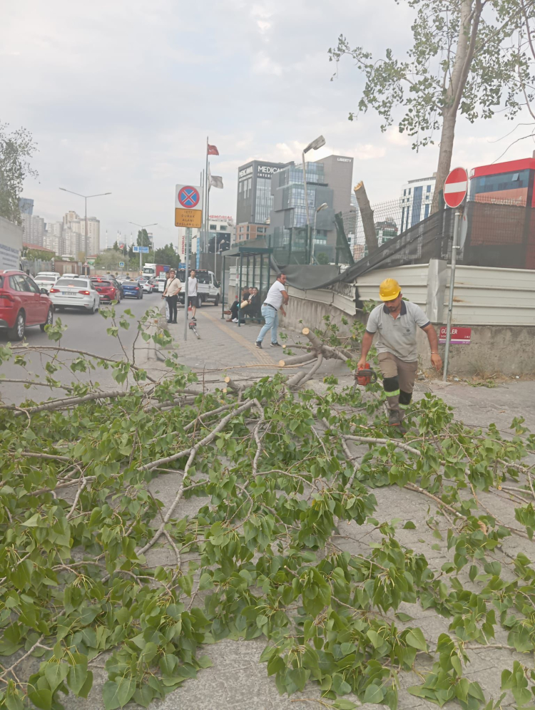 İstanbul'da 58 ağaç devrildi, 6 araç hasar gördü... Dikkat! Bu gecede etkili olacak