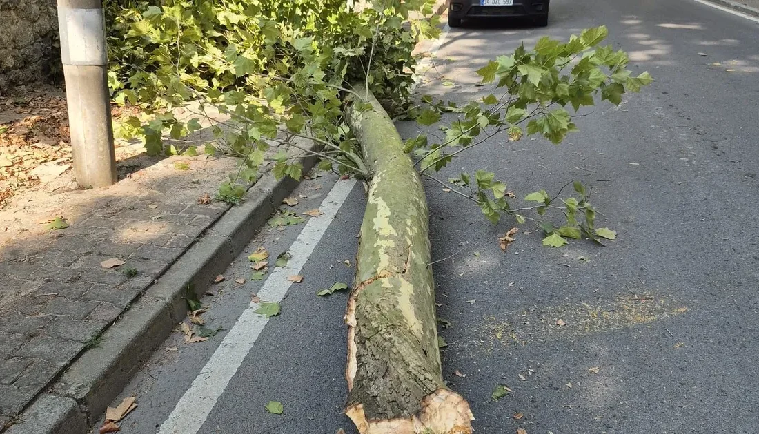 İstanbul’da 6 Ağustos Çarşamba