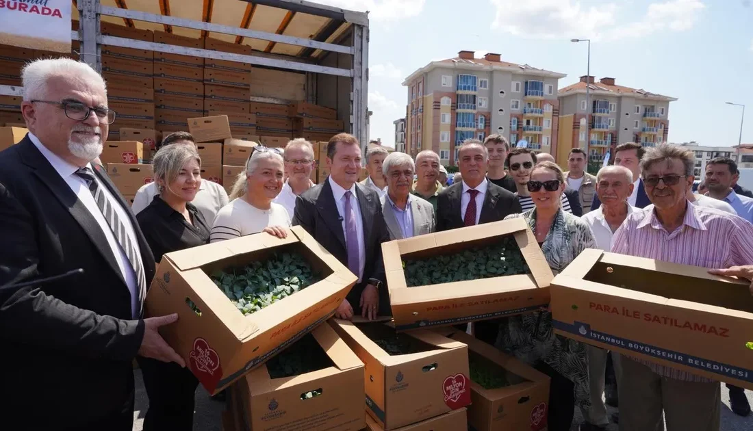 İstanbul Büyükşehir Belediyesi, 2020