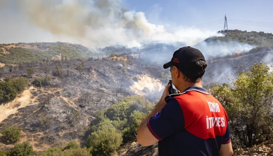 İzmir Aliağa’da çıkan orman