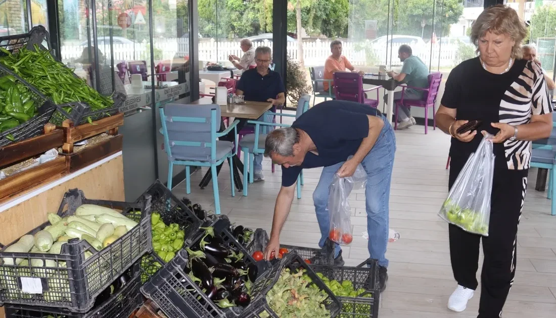 İzmit Belediyesi, üretim bahçelerinde