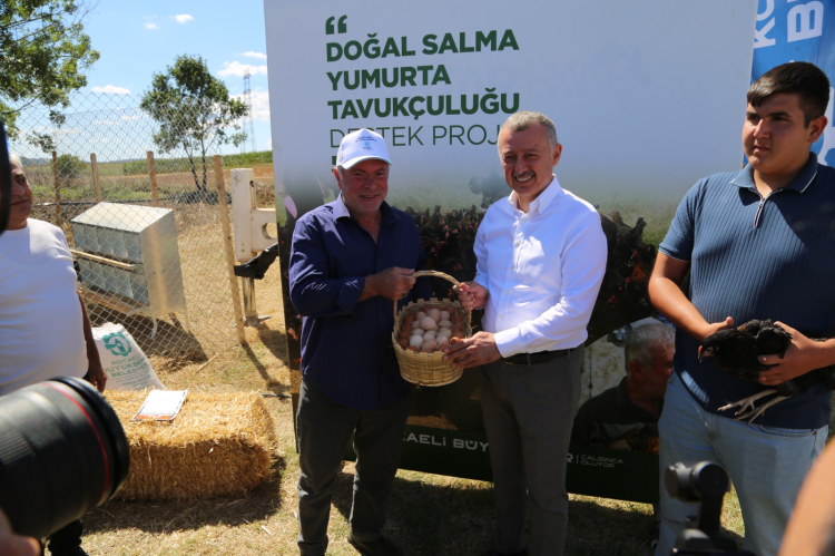 Kocaeli’de tarımsal verim arttı... Kandıra yeşil vadiye dönüştü