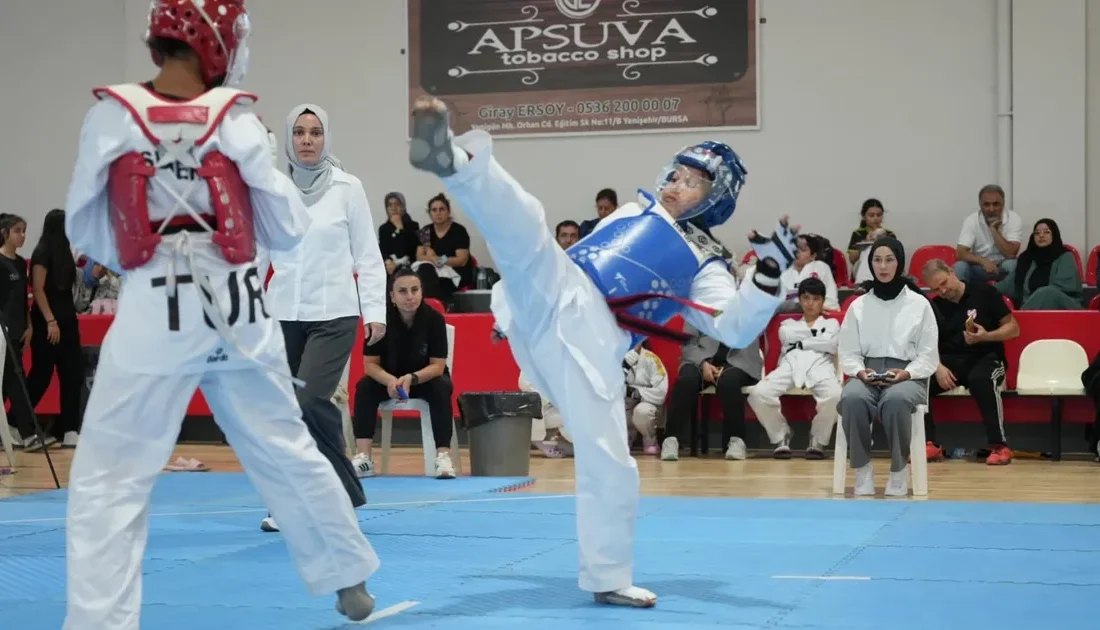 Bursa'nın Yenişehir ilçesinde bir