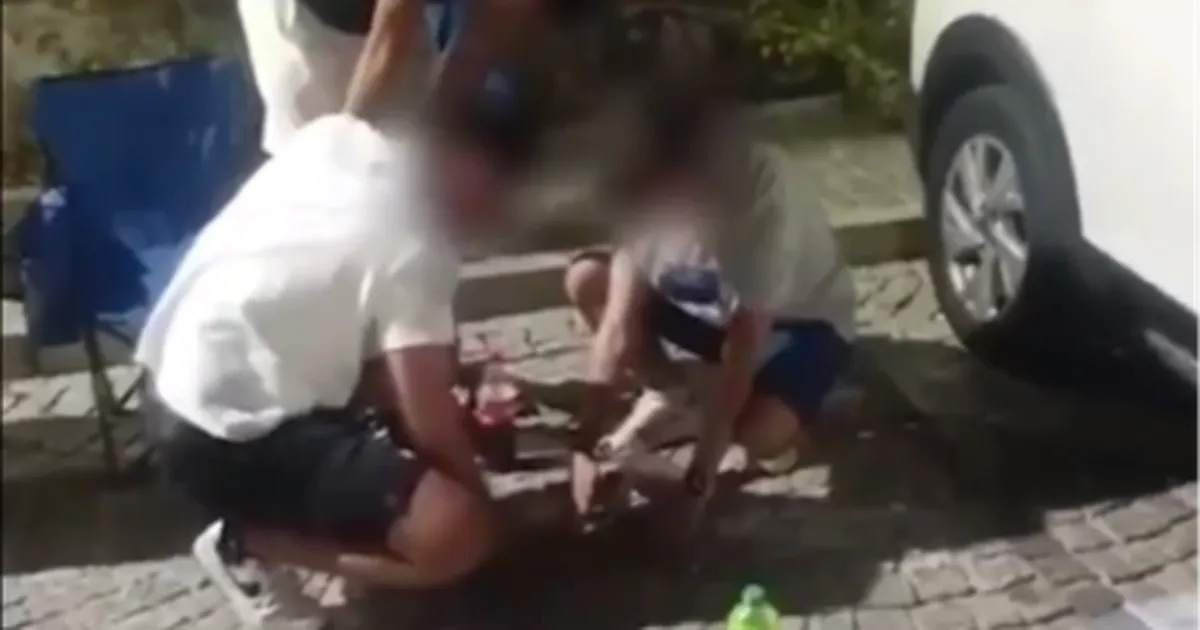 Mudanya Zabıtası çevreyi kirleten gençlere çöp toplattı, ceza kesti!