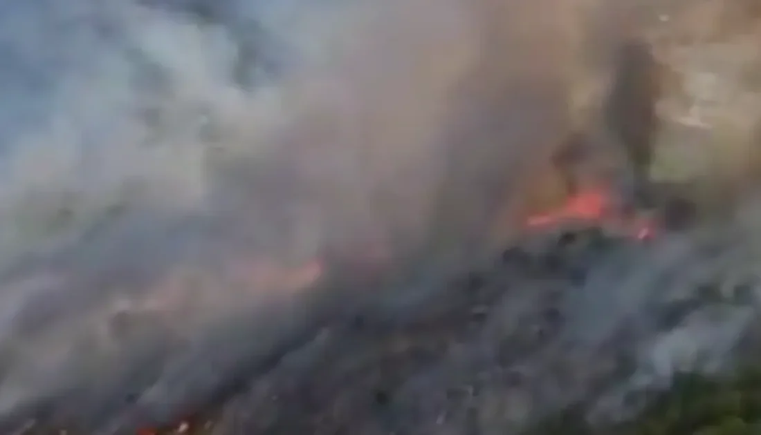 Muğla’nın Seydikemer ilçesi Kabaağaç