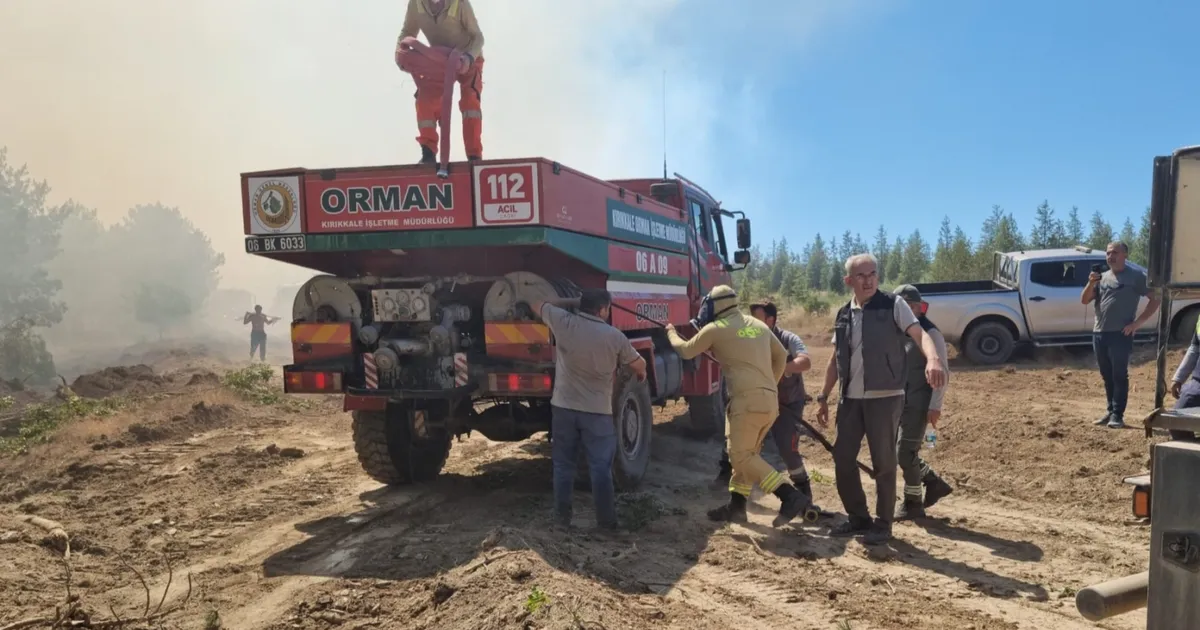 OGM'den yangın uyarısı! Çoğu ihmal ve dikkatsizlikten çıktı!