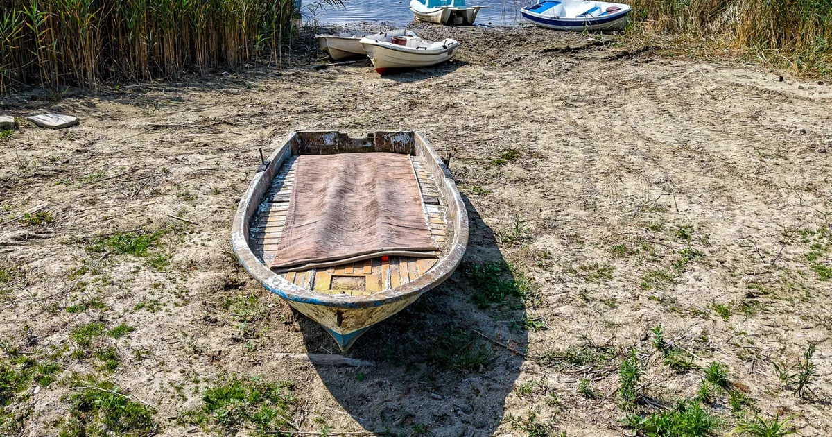 Sapanca Gölü için kritik çalıştay tamamlandı
