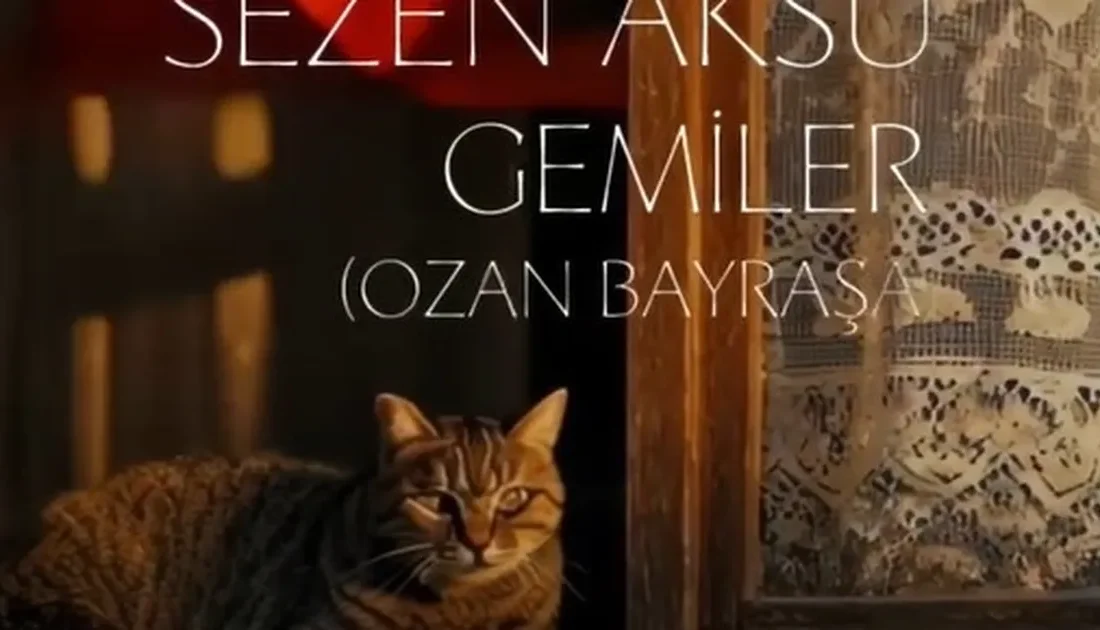 Sekiz yıl aradan sonra