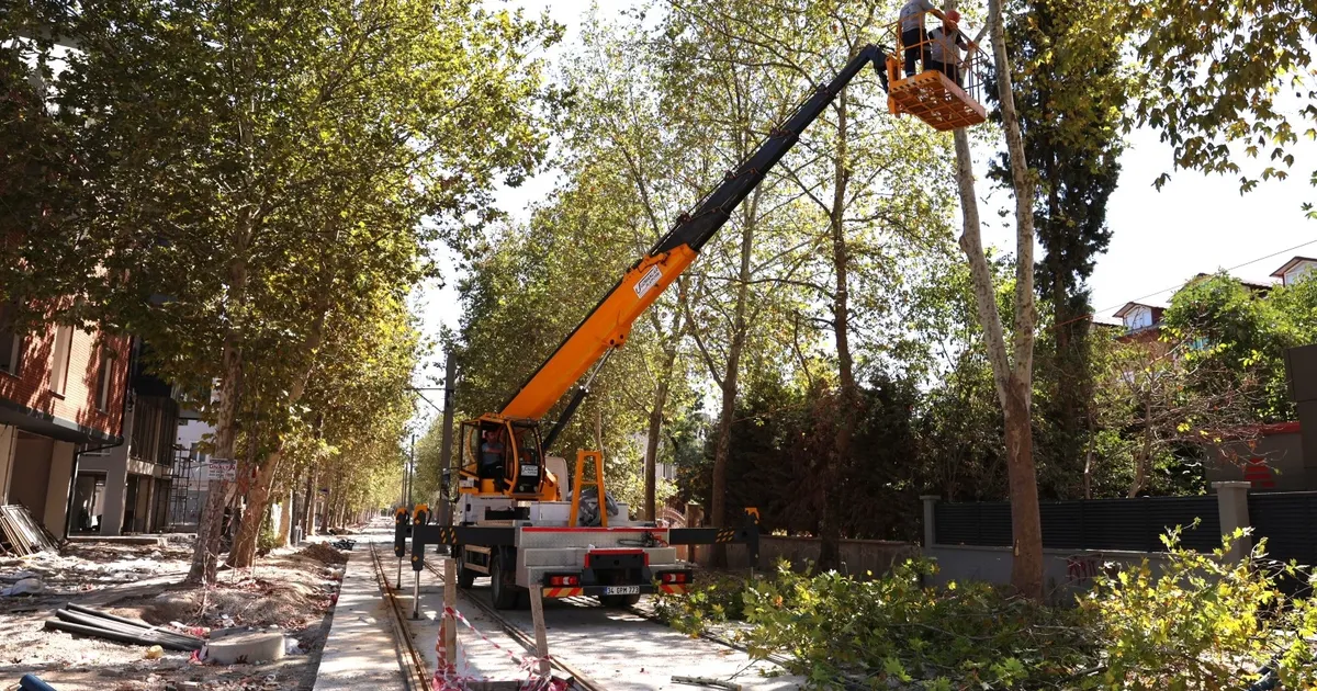 Alikahya Tramvay Hattı için ağaçlara itinalı budama