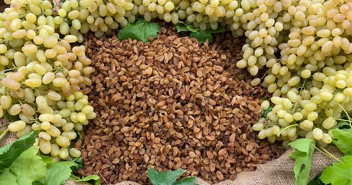 Çekirdeksiz ihracatta Türkiye 'en'leri yaşadı