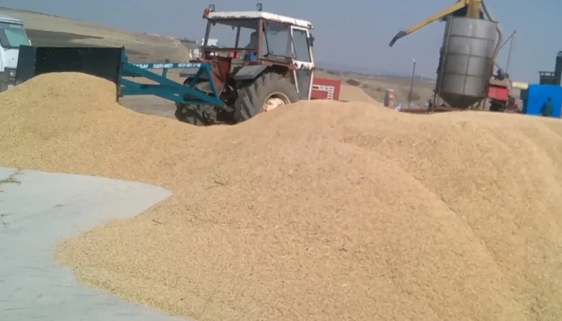 İpsala Çeltik Üreticileri Birliği,