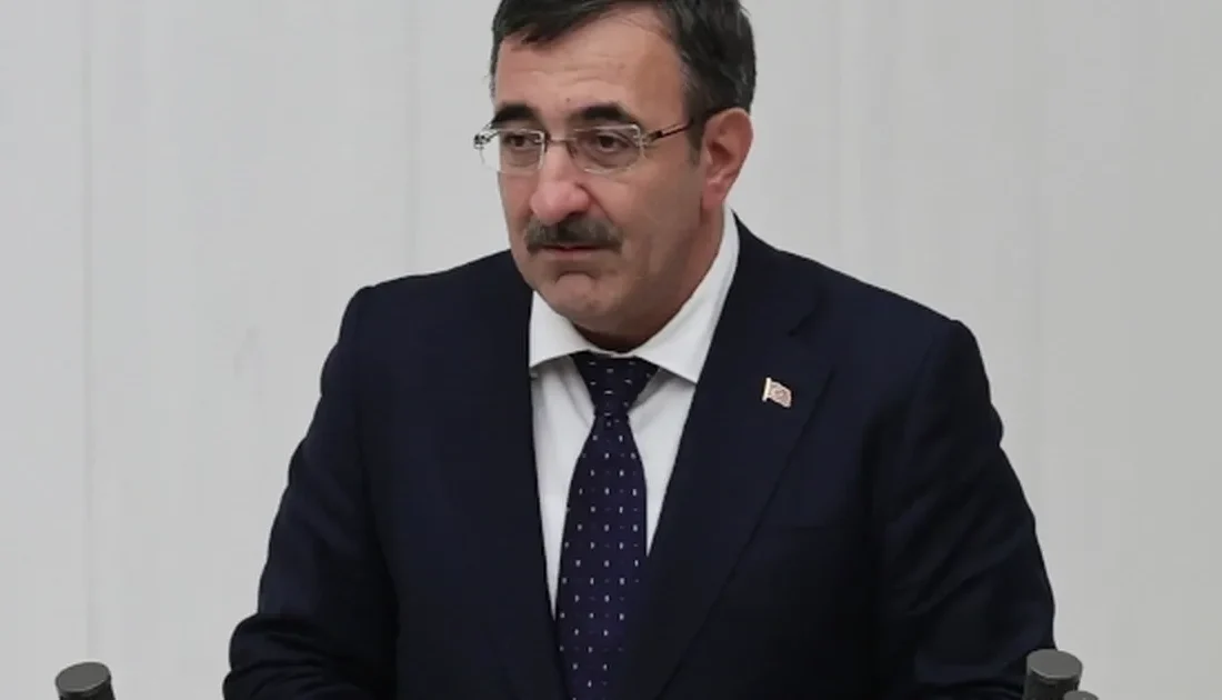 Cumhurbaşkanı Yardımcısı Cevdet Yılmaz,