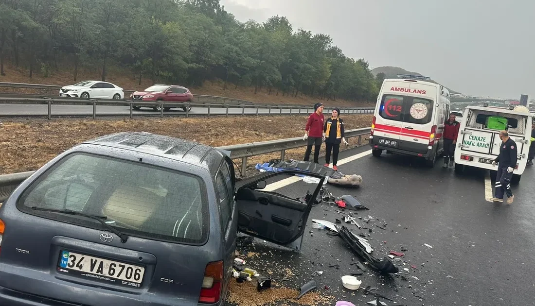 Düzce'de yağışlı hava Anadolu