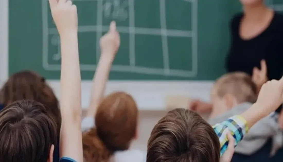 OECD'nin her yıl yayımladığı