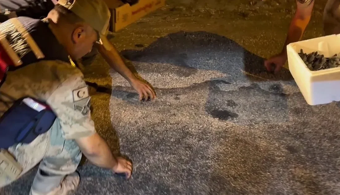 Hatay’ın Samandağ ilçesinde, yapay