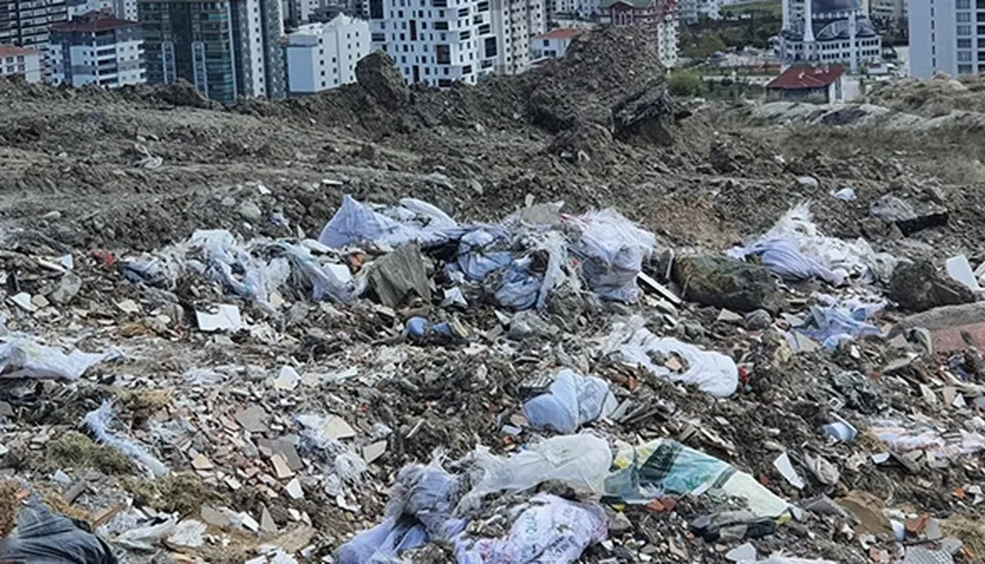 Çevre, Şehircilik ve İklim
