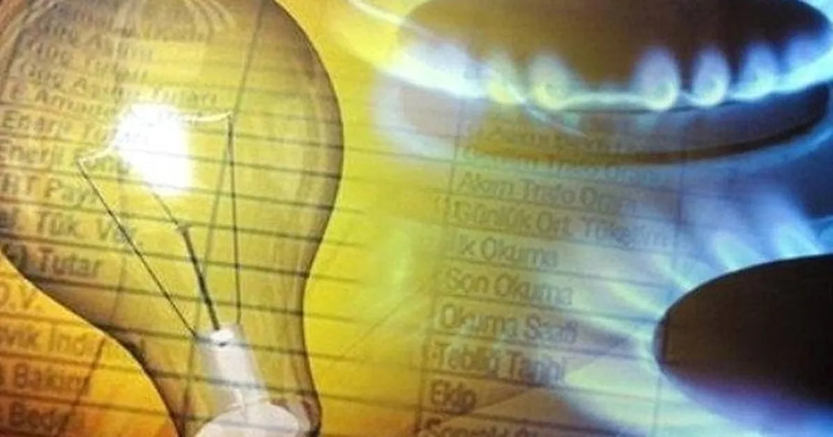 Yİ-ÜFE'de en dikkat çekici artış elektrik ve gazda